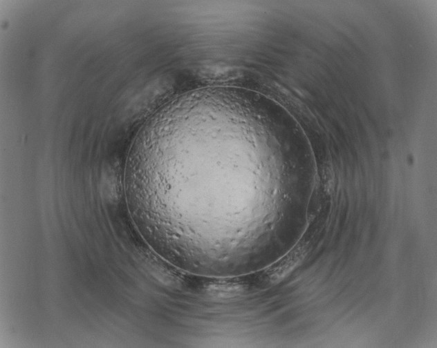 X0000074300515200609011450