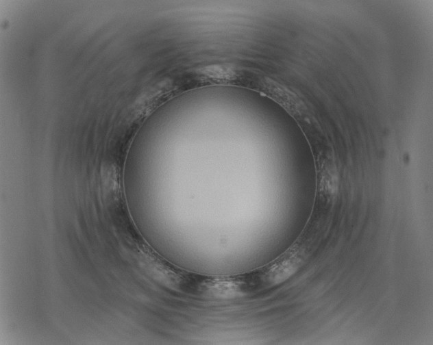 X0000074300518200609011450