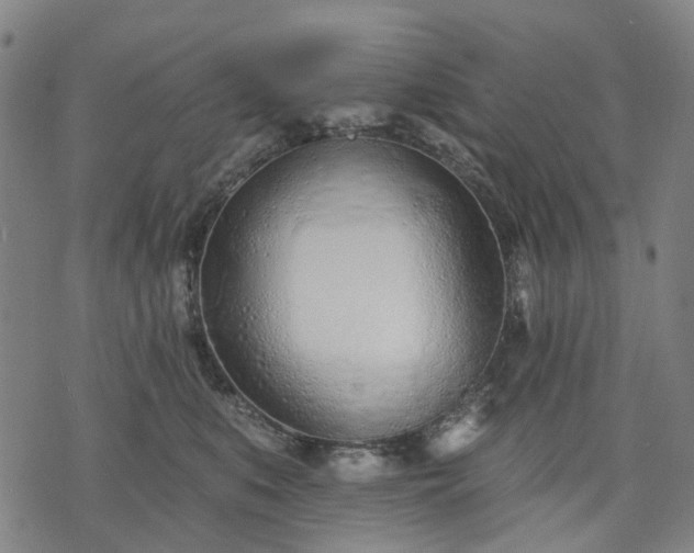 X0000074300519200609011450
