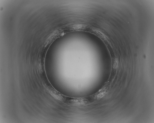 X0000074300524200609011450