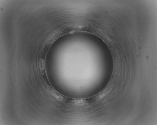 X0000074300528200609011450