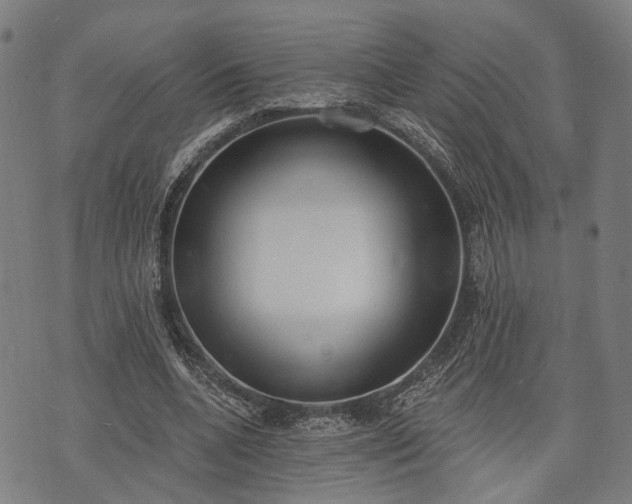 X0000074300536200609011449