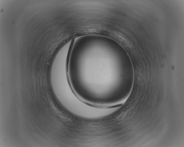 X0000074300546200609011449