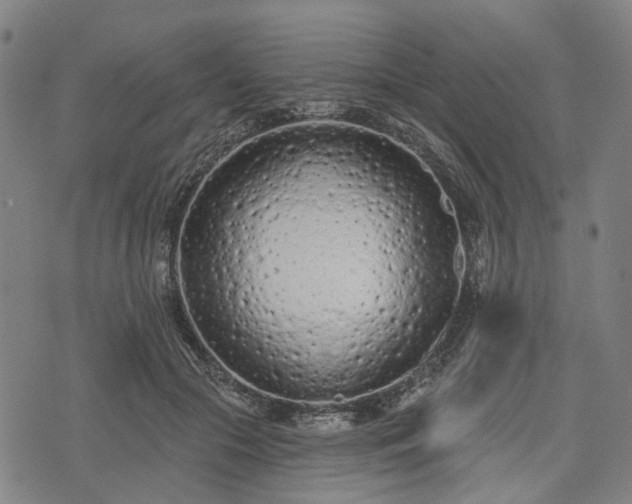 X0000074300553200609011450