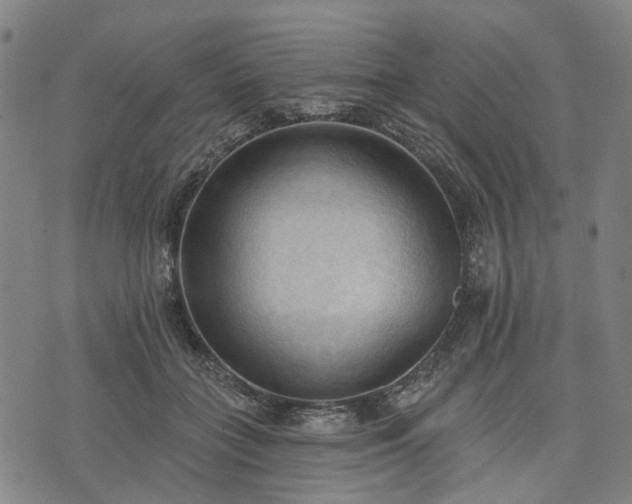 X0000074300555200609011450