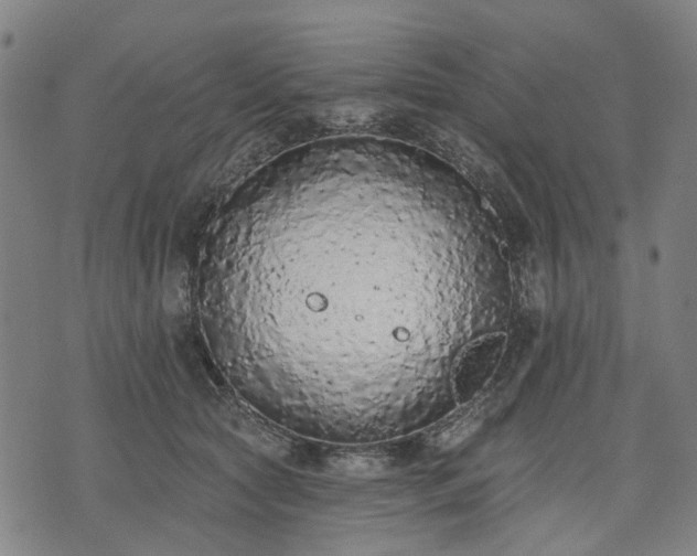 X0000074300561200609011450