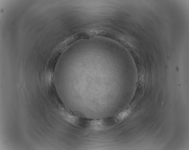 X0000074300574200609011450