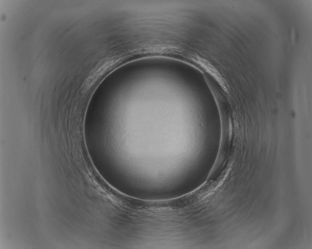 X0000074300577200609011449