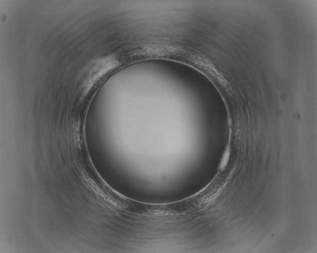 X0000074300585200609011449