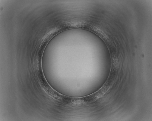 X0000074300587200609011449