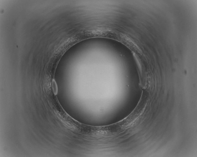 X0000074300593200609011449