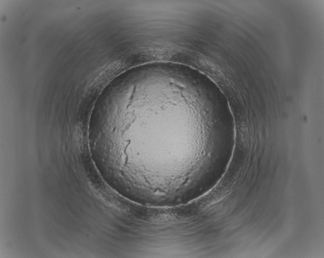 X0000074300594200609011449