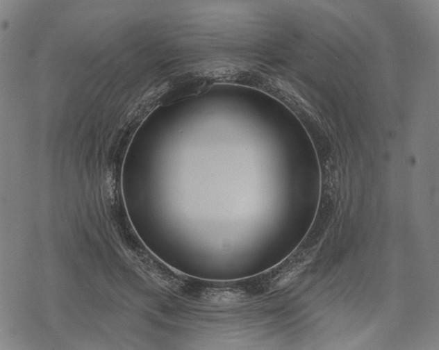 X0000074300597200609011449