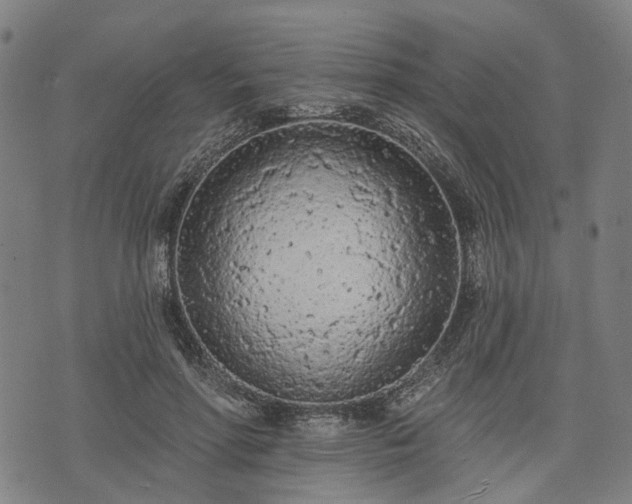 X0000074300598200609011449