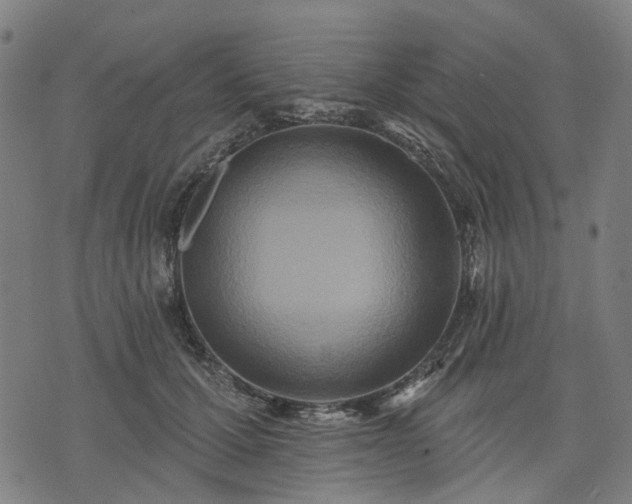 X0000074300607200609011449