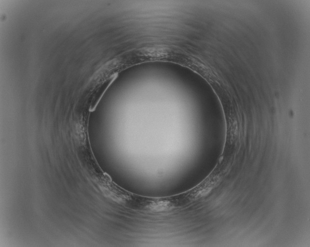 X0000074300609200609011449