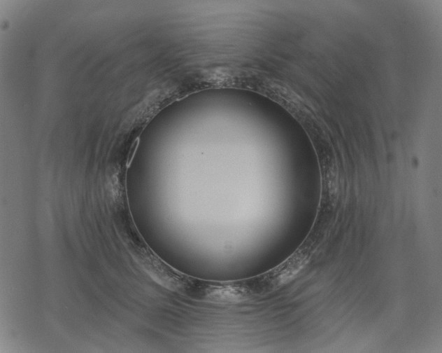 X0000074300611200609011449
