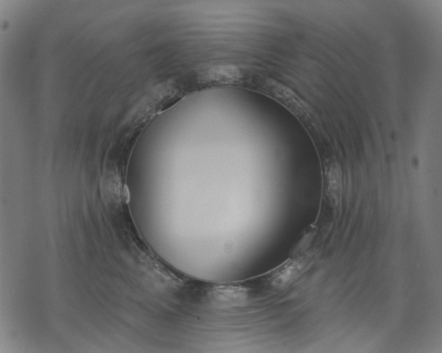 X0000074300617200609011449