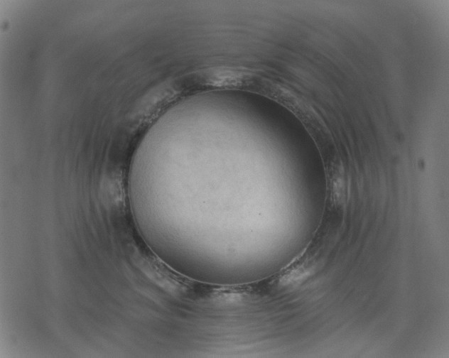 X0000074300620200609011448
