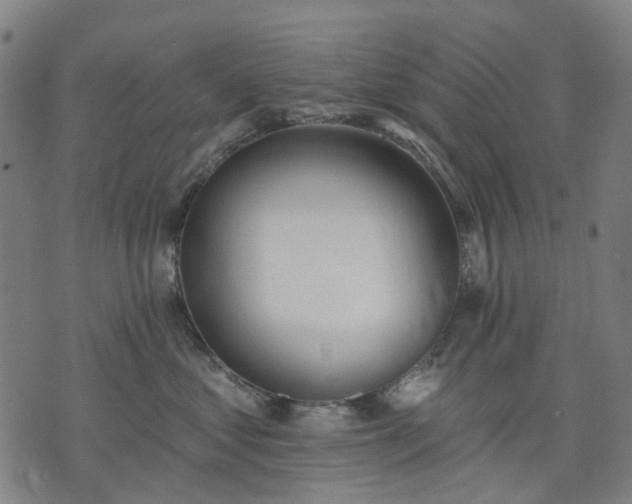 X0000074300621200609011448