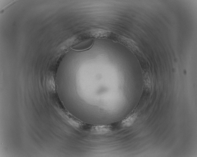 X0000074300622200609011448