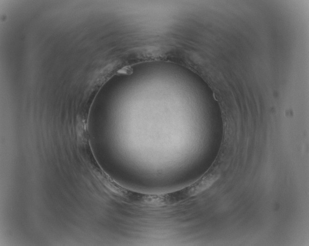 X0000074300624200609011448