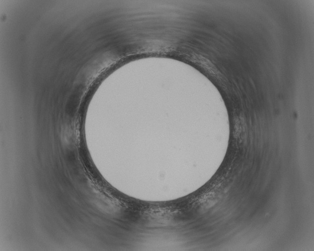 X0000074300632200609011448