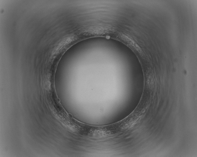 X0000074300635200609011448