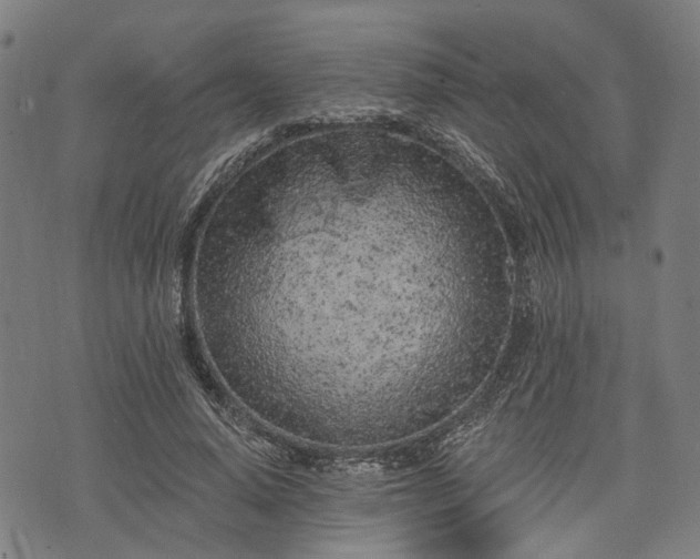 X0000074300640200609011448