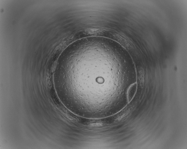 X0000074300653200609011448