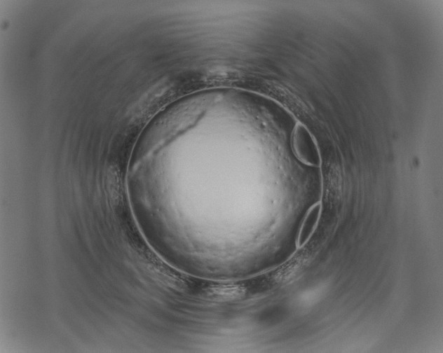 X0000074300659200609011448