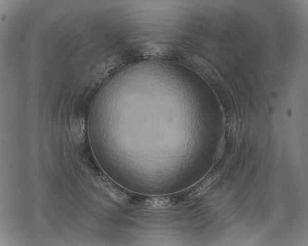 X0000074300660200609011448