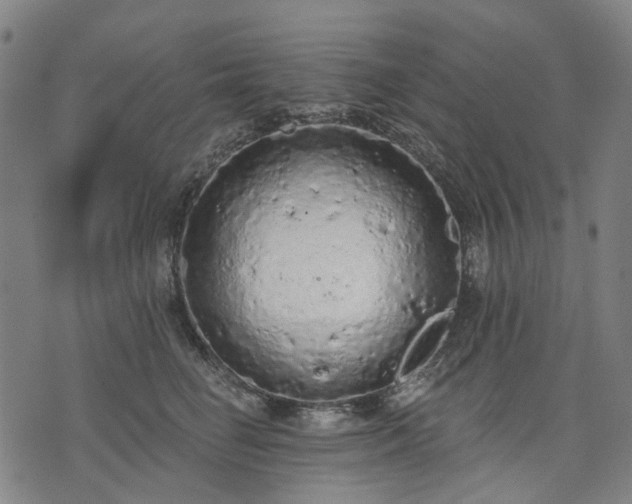 X0000074300662200609011448