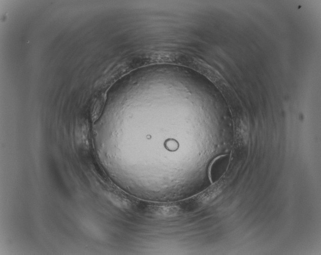 X0000074300663200609011448