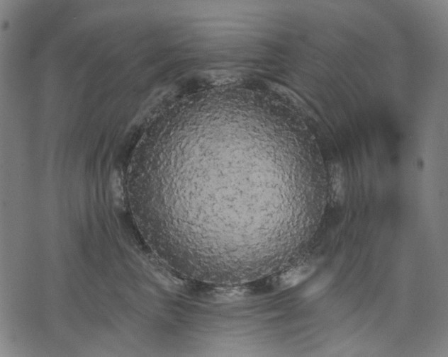 X0000074300667200609011448