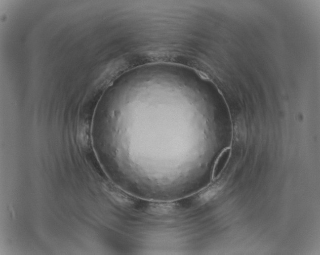 X0000074300671200609011448