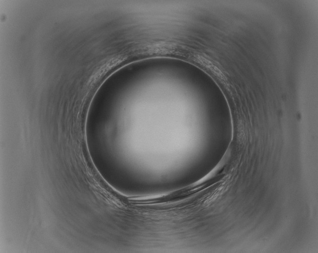 X0000074300673200609011448