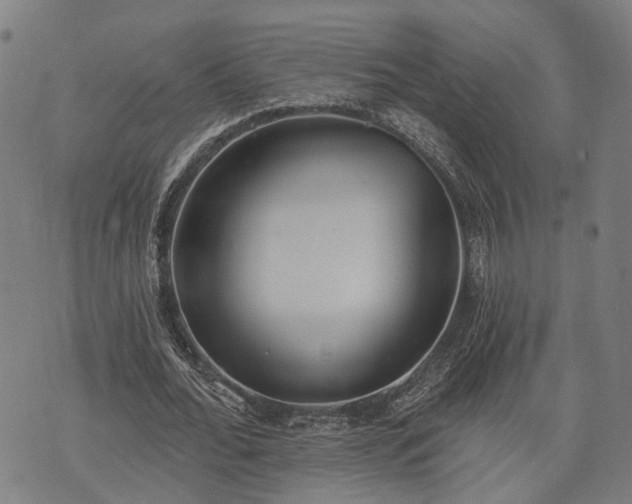 X0000074300676200609011448