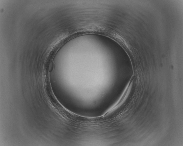 X0000074300680200609011448