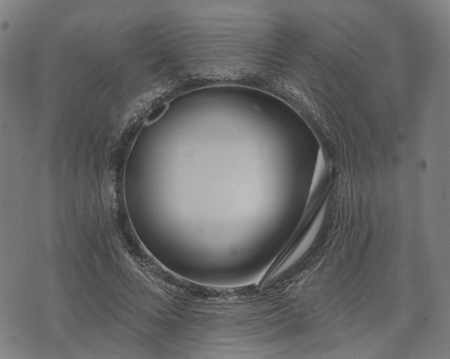 X0000074300688200609011447