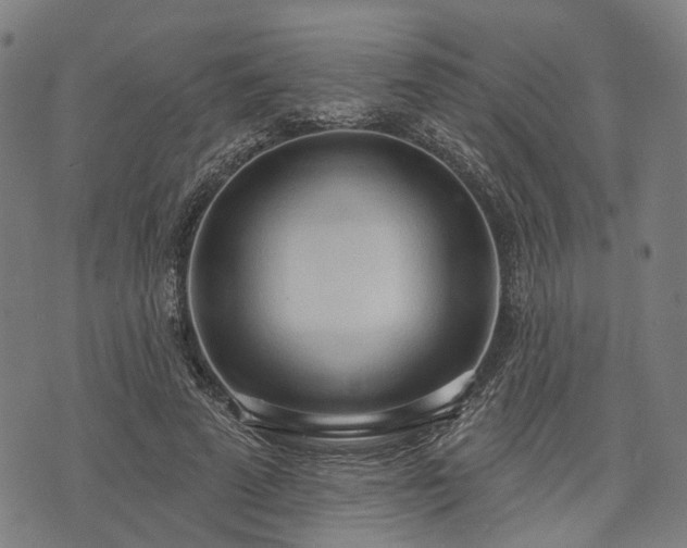 X0000074300689200609011447