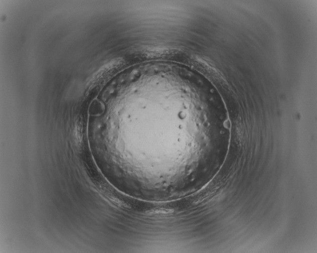 X0000074300691200609011447