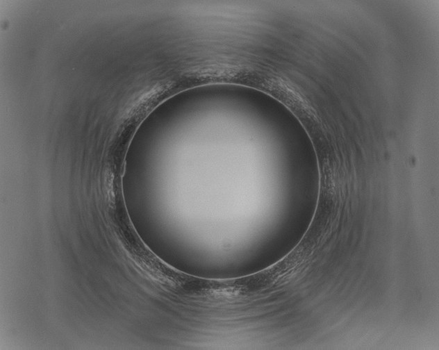 X0000074300692200609011447