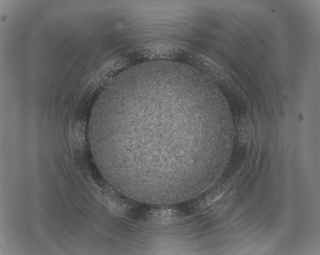 X0000074300695200609011447