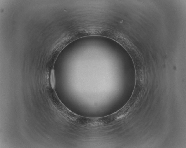 X0000074300696200609011447