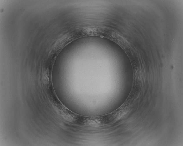 X0000074300702200609011447