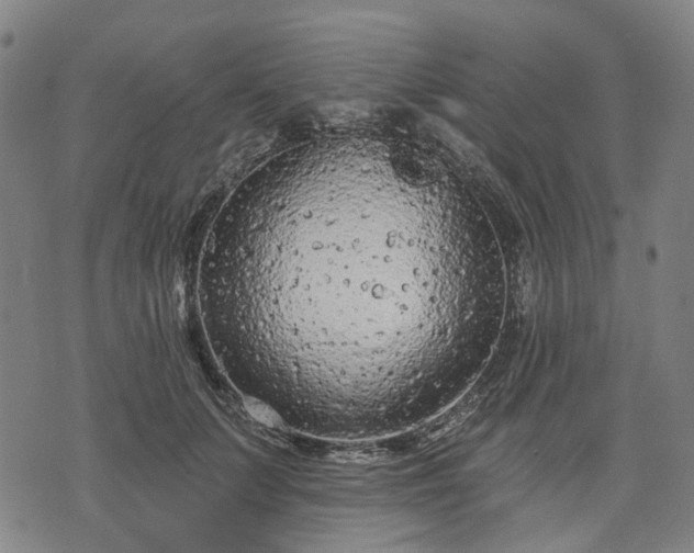 X0000074300703200609011447