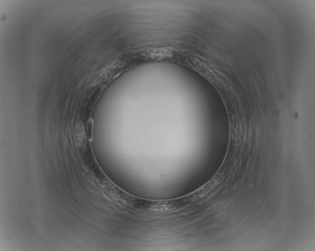 X0000074300704200609011447