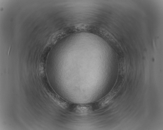X0000074300706200609011447