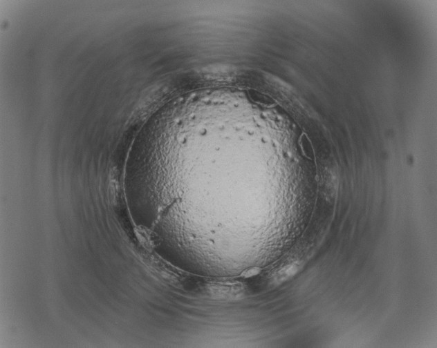 X0000074300707200609011447